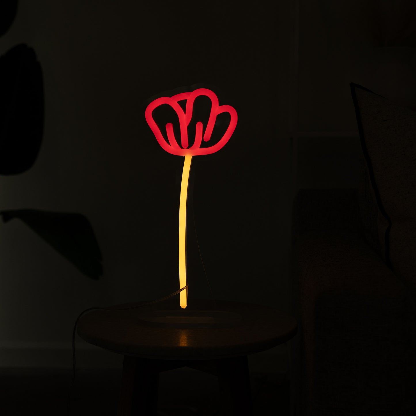 Poppy