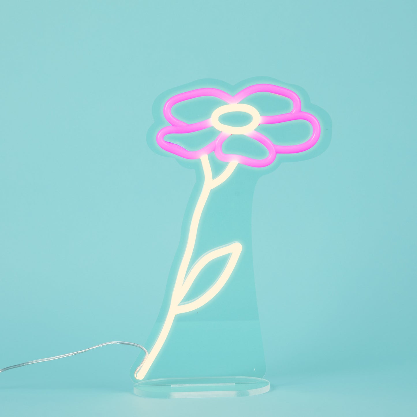 Camellia