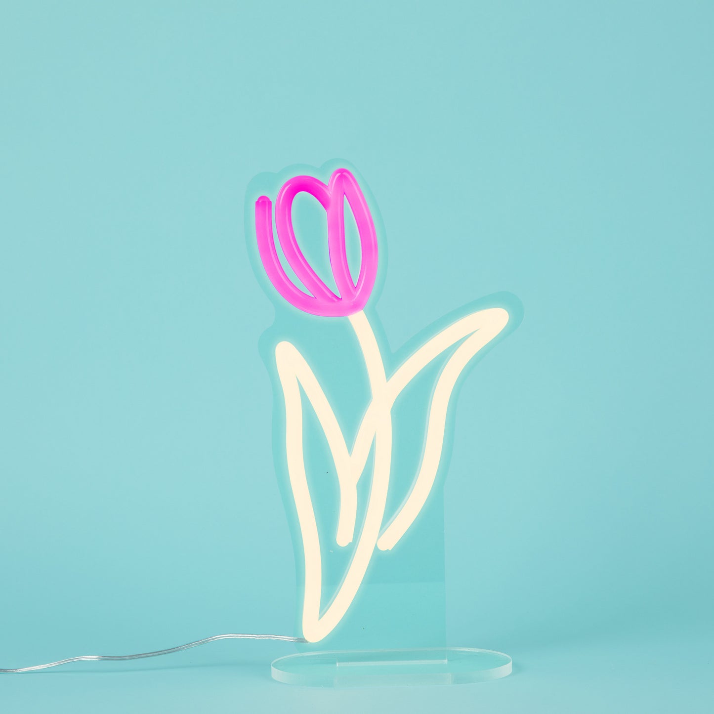 Tulip